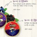 인쁘띠 네이버블로그