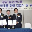 대일식품 부울경뉴스