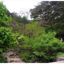 참새민박 이미지