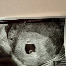 한마음산부인과의원 이미지