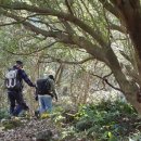 서광리-14 이미지