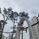 처음컴퍼니