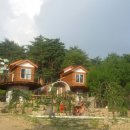 톰소여의 모험 이미지