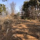 바닷가농원 이미지