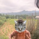 가평 끌로이스 풀빌라 독채펜션 이미지