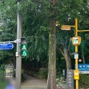 [남부] (야간)나도 바리스타 | [우면산] 서울 낮은 산 등린이 추천 코스 서울 야간 등산 추천 :: 남부터미널역~소망탑~사당역