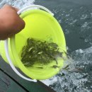 통영펜션하늘채 이미지