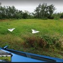 조수리엔 이미지