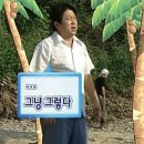 다령이네민박 이미지