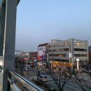 두산메디펫동물병원 이미지