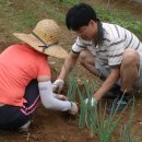 오미농장 이미지