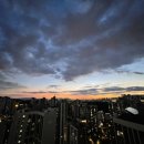 신하나공인중개사사무소 이미지