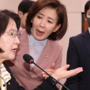 마음대로 이미지