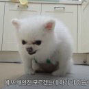 올림피아 이미지