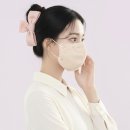 핏100