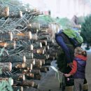 이수표농장 이미지