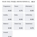 1002카랜드 이미지