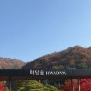 숲 | 🍂단풍 끝판왕🍂 화담숲 후기