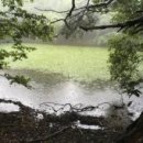 부동목장 이미지