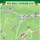 신이 난다 난타 | [3月 숲나들e-1] 전북 무주 향로산자연휴양림 단풍나무 숙박 후기
