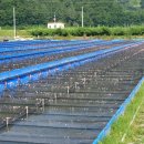 김성호농장 이미지