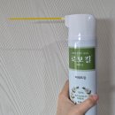 대롱 | 좀벌레 퇴치법 천연 살충제 로보킬 대롱형 후기