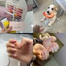 리뷰티핼 | 부평역 네일샵 추천 리뷰티핼 자석 젤네일 대만족 후기
