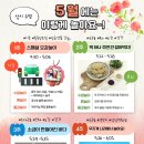 하이꼬마