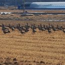 솔소리농장 이미지