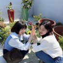 안여사