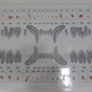 중동 우리아이 동물병원 이미지