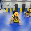 와이즈런 이미지