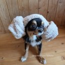 레브몽 | 가평 애견펜션 최고로 만족스러웠다 (내돈내산 추천) 미끄럼방지매트 논슬립 독채펜션