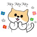 헤어by901