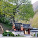 [영월 여행] 조선왕릉 장릉, 단종에 관한 역사 이야기 이미지