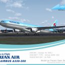 Airbus A330-300 이미지