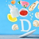 비타민동물병원 이미지