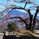 성불주차장 이미지