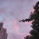 천운1호 이미지