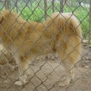 화성농장 이미지