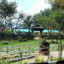 거산 이가네더덕밥 이미지