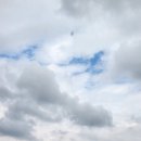 NR-7[통신사로]-하-11 | [日記] 11월 4주, 대만 워홀 48주차