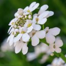 맑은샘농장 이미지