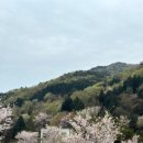 슬로우 남해 이미지