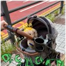 pet 161거2584 | 소심견도 문제없개! 강아지 유모차 태웠더니 활짝 웃었멍!! (실사용후기)