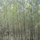 김영규농장 이미지