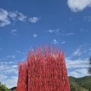 영은미술관 | 걷는 미술관 같은 곳, 아이와 함께한 영월 젊은달 와이파크