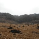 고성리-11 이미지