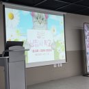 냥집사 | 고양이 치아 관리, 직접 배워보니… 창원 ‘냥집사 학교’ 후기