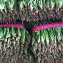 김영욱농장 이미지